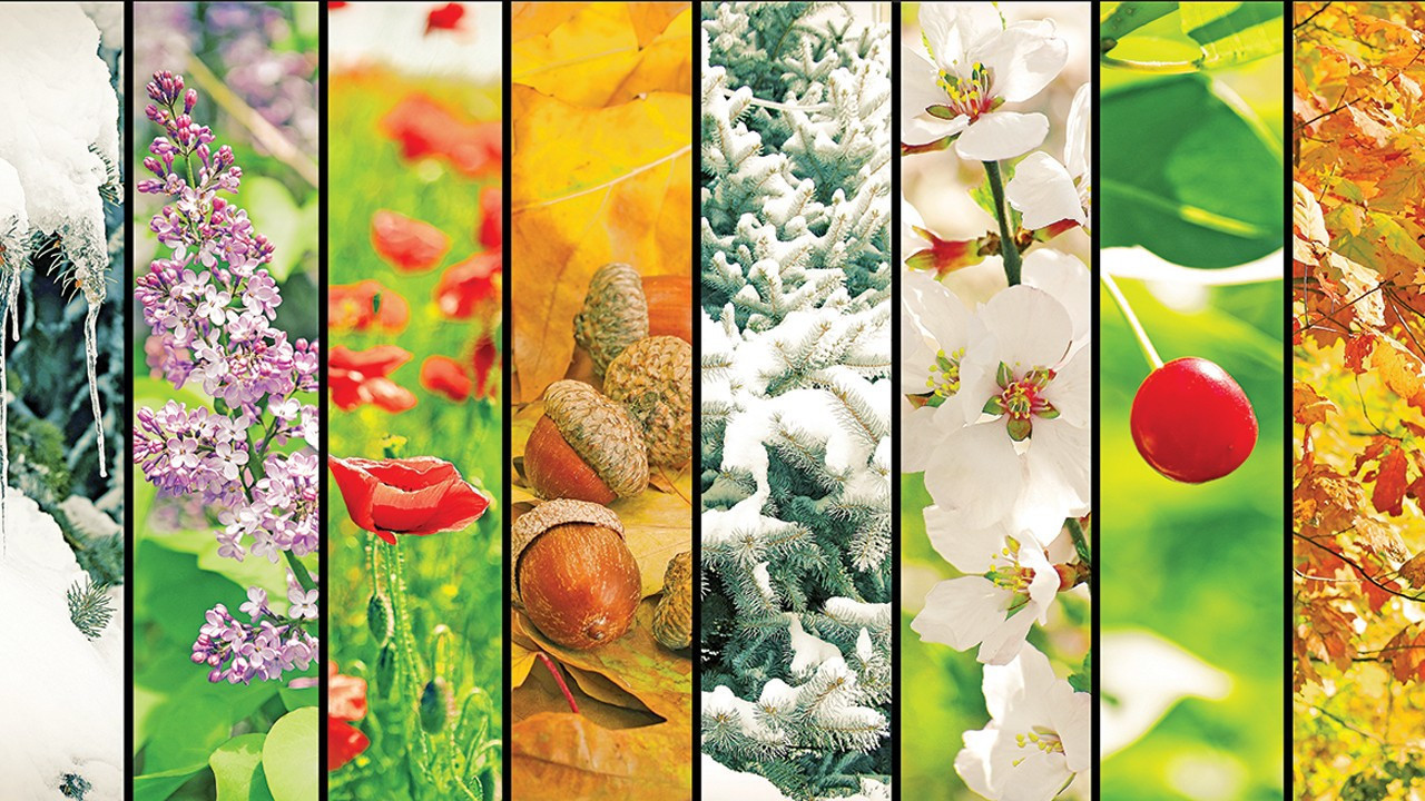 Bir günde mevsimler değişiyor