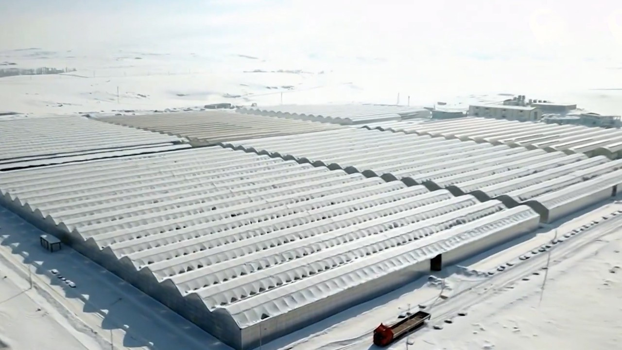 Jeotermal yatırımla tarımda yeni dönem: Ağrı Diyadin’de sera OTB tamamlandı