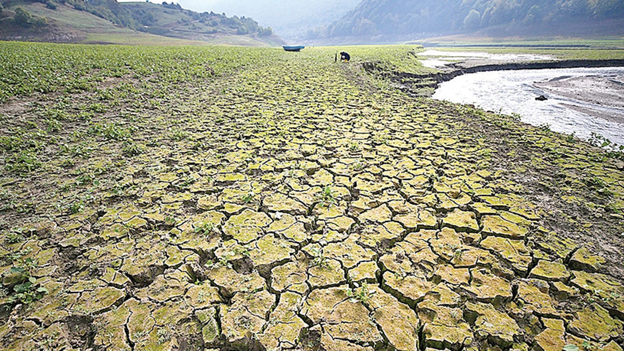 Gıda arzında ‘okyanus’ kalkanı