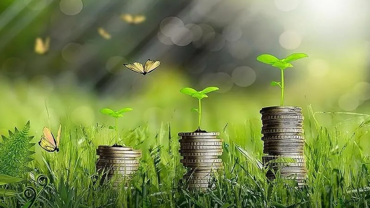 Yeşil dönüşümün Türkiye’ye yıllık maliyeti 25 milyar dolar